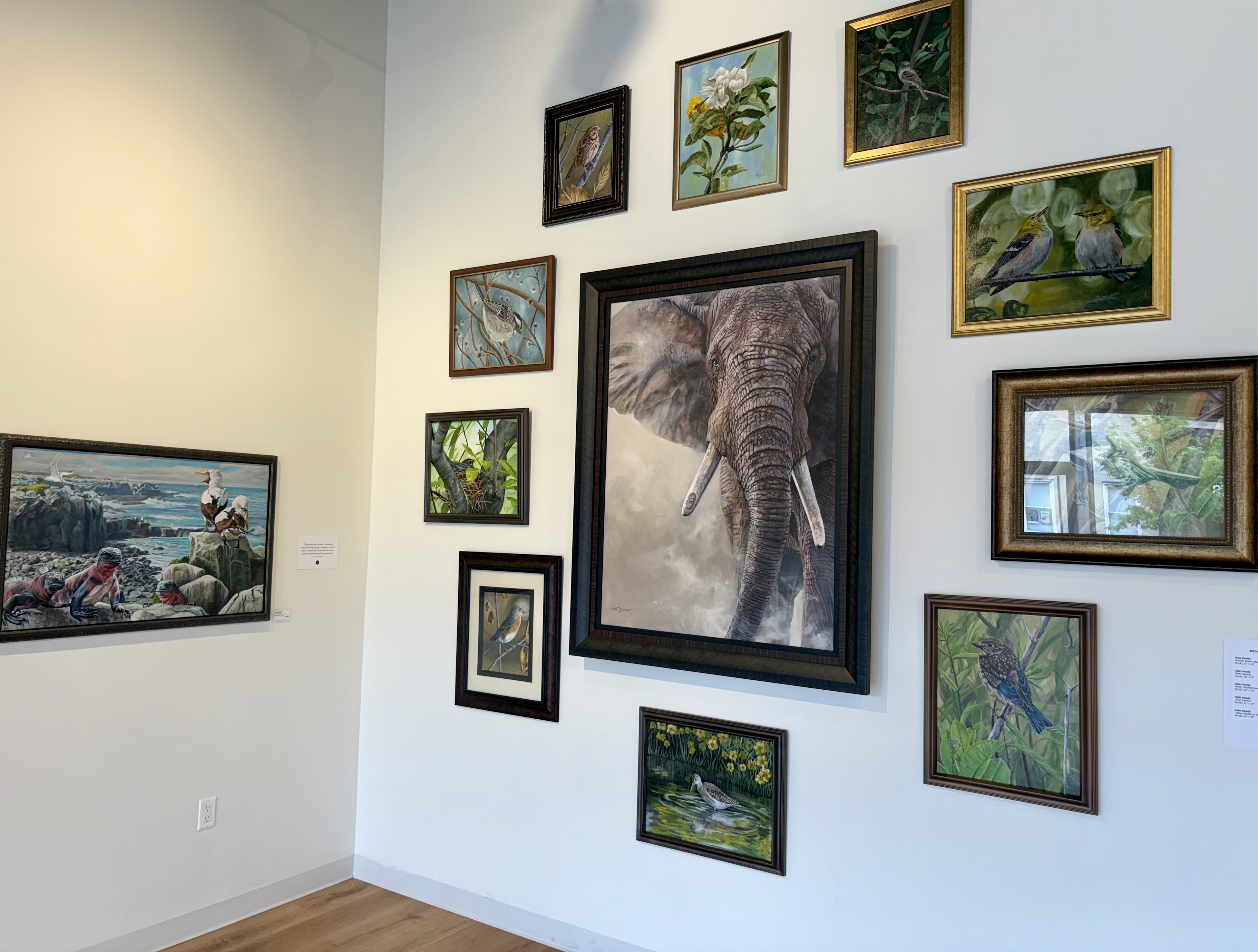 WHAT A WONDERFUL WORLD Exhibition at KickstART